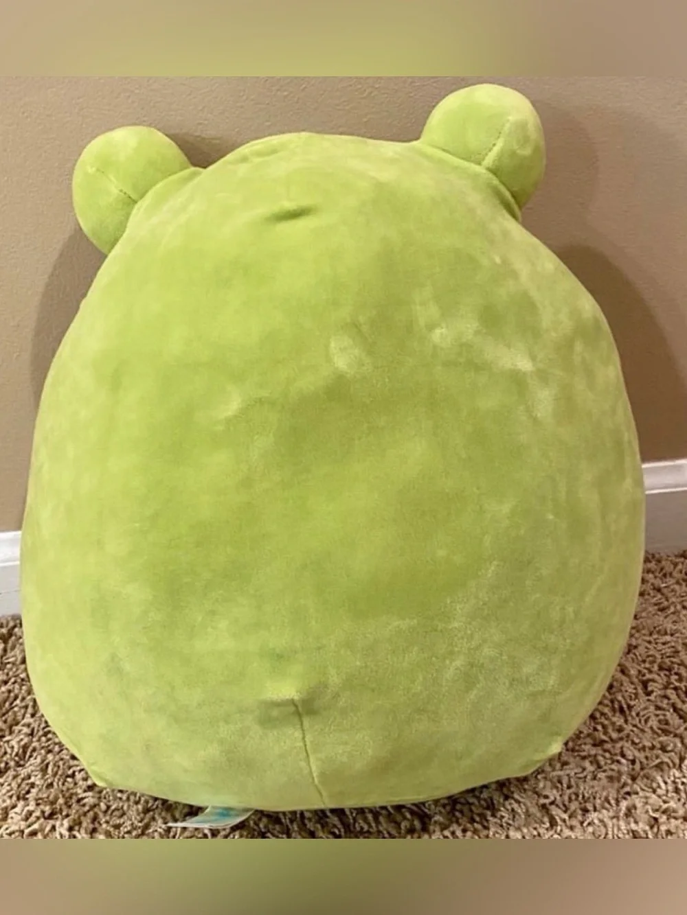 Squishmallows 13” Wendy the Frog with Floral Belly